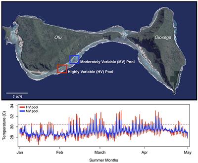 Mechanisms of Thermal Tolerance in Reef-Building Corals across a Fine-Grained Environmental Mosaic: Lessons from Ofu, American Samoa